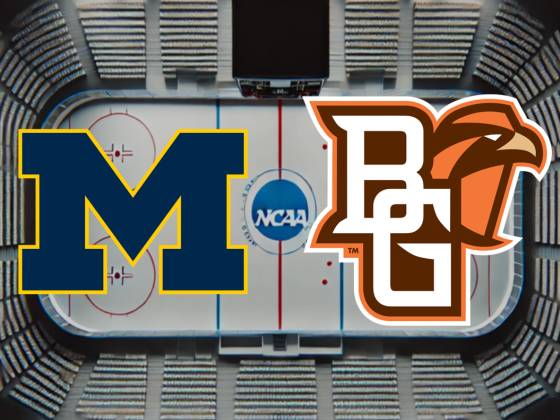 Michigan Wolverines at Bowling Green Falcons Hockey